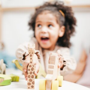 Play in a Child's Life